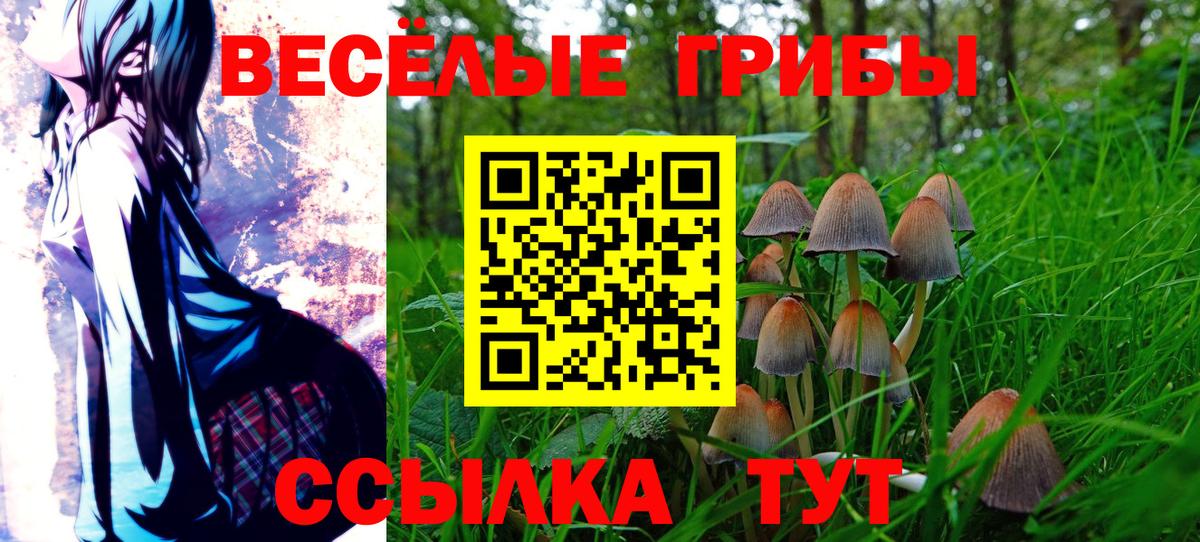 LSD-25  Cocaine  Канабис  Каспийск  NBOMe  ГАШ  Меф МЯУ МЯУ   Вход с VPN 