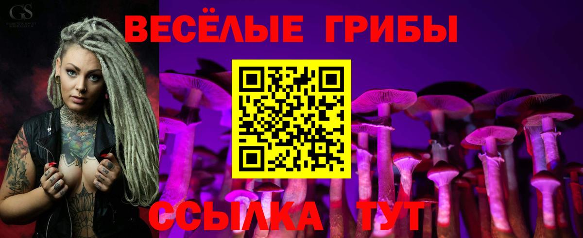 Галлюциногенные грибы MAGIC MUSHROOMS Каспийск