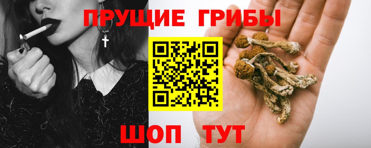 Каспийск  Галлюциногенные грибы мухоморы  Псилоцибиновые грибы мухоморы  Вход с VPN 